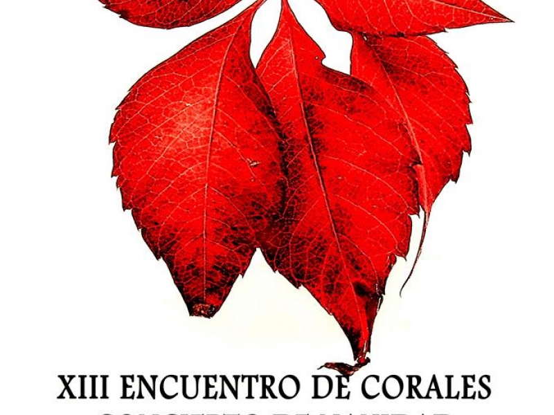 XIII Encuentro de Corales. Concierto de Villancicos