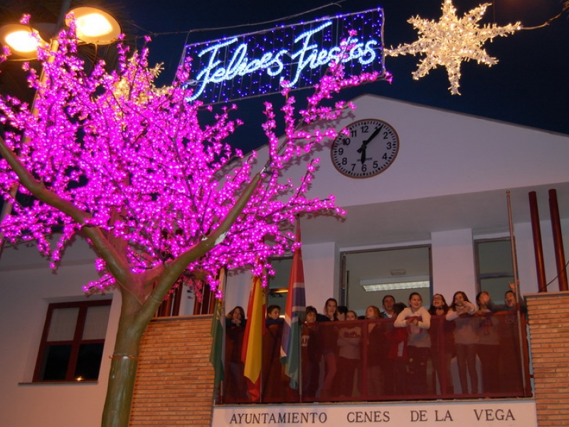 Cenes de la Vega inaugura el alumbrado de Navidad elegido por escolares del CEIP El Zargal